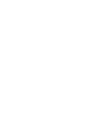e-Commerce - Floral Design Client: Sylvart Floral Designs/
Bloompop